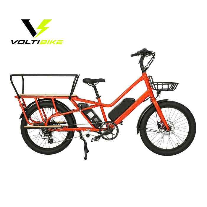 Bicicleta eléctrica cargo familiar AF2419 Voltibike vista lateral