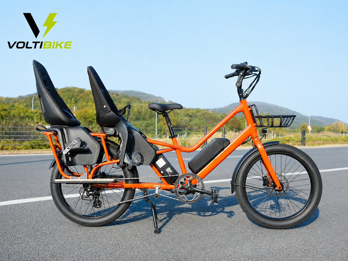 Bicicleta eléctrica familiar AF2419 Voltibike con dos sillas infantiles