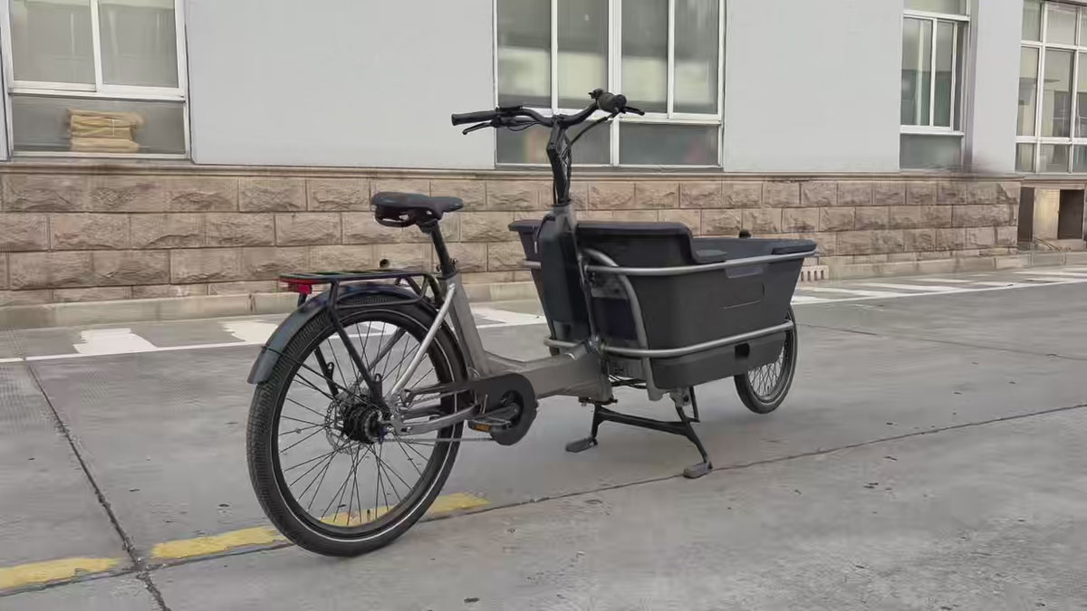 Bicicleta Eléctrica Cargo Familiar AT006 Mid Drive 250W
